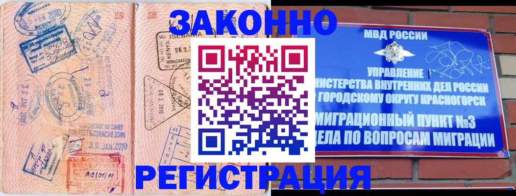 прописка иностранных граждан в Алейске